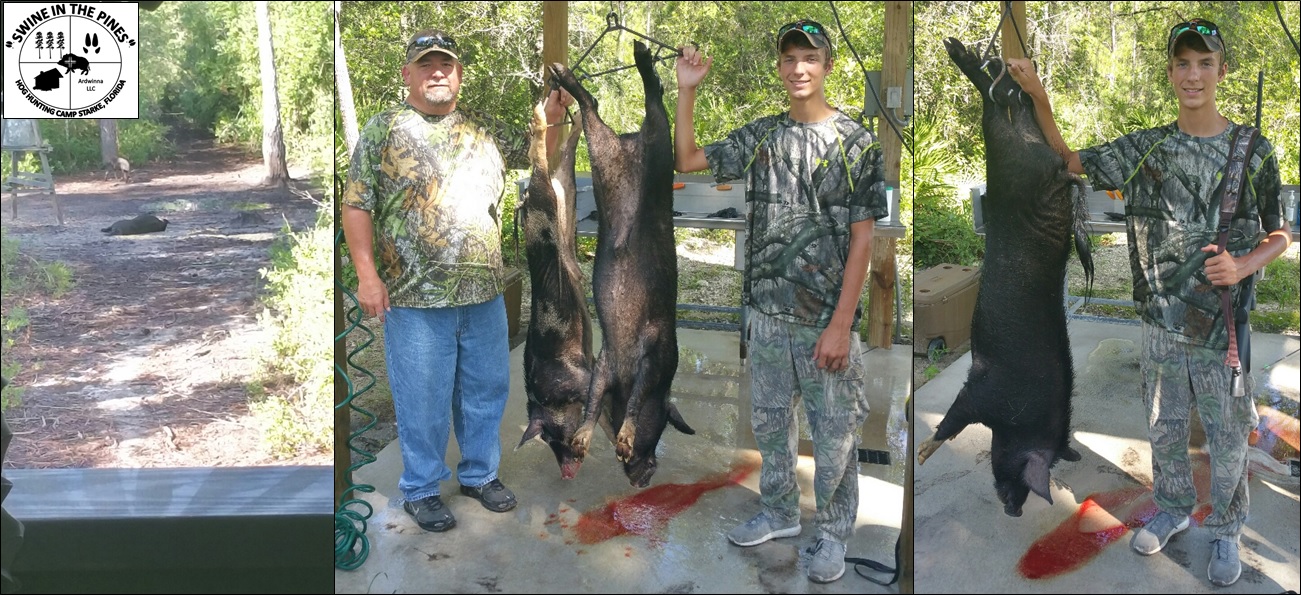 Filling the freezer with Wild Hogs at Swine In The Pines in Starke, Florida